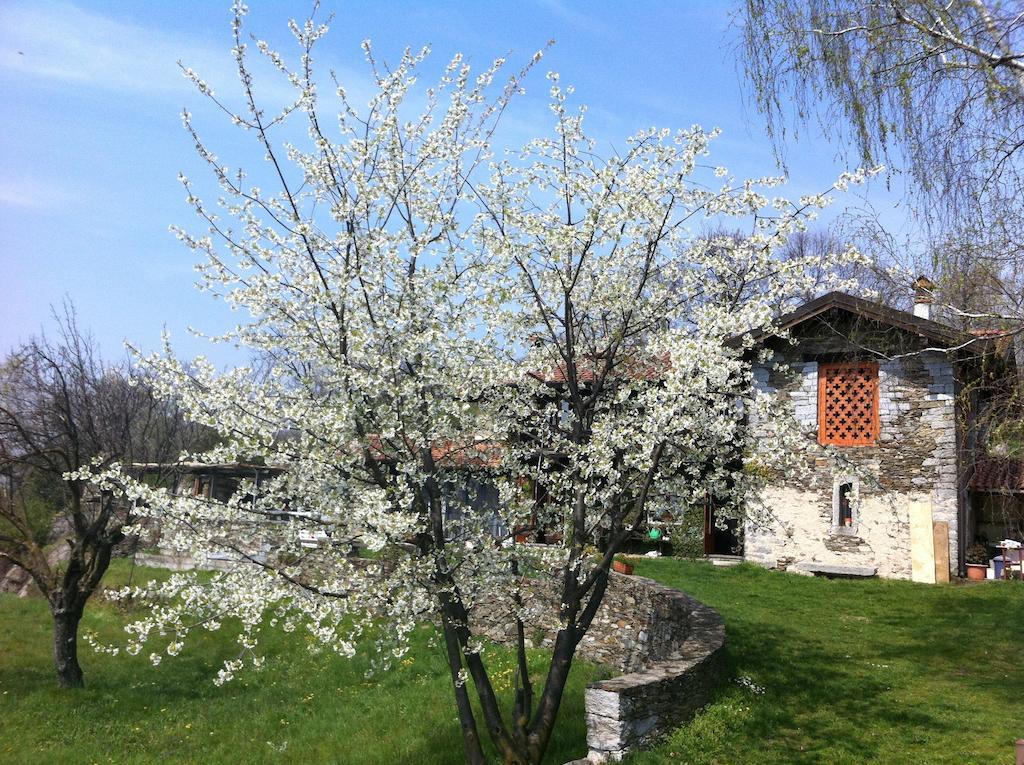 Il Ciliegio Selvatico Apartment แวร์บาเนีย ภายนอก รูปภาพ