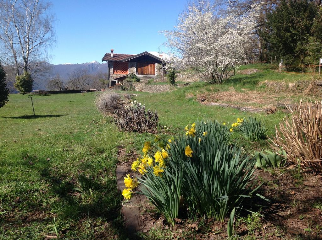 Il Ciliegio Selvatico Apartment แวร์บาเนีย ภายนอก รูปภาพ